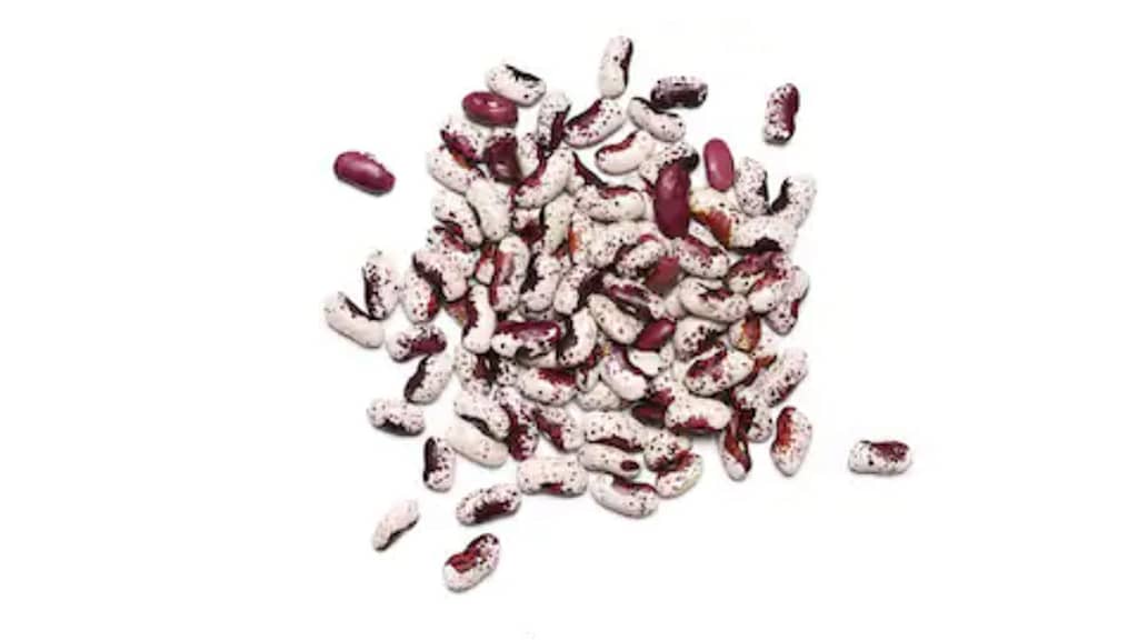 light-speckled-beans